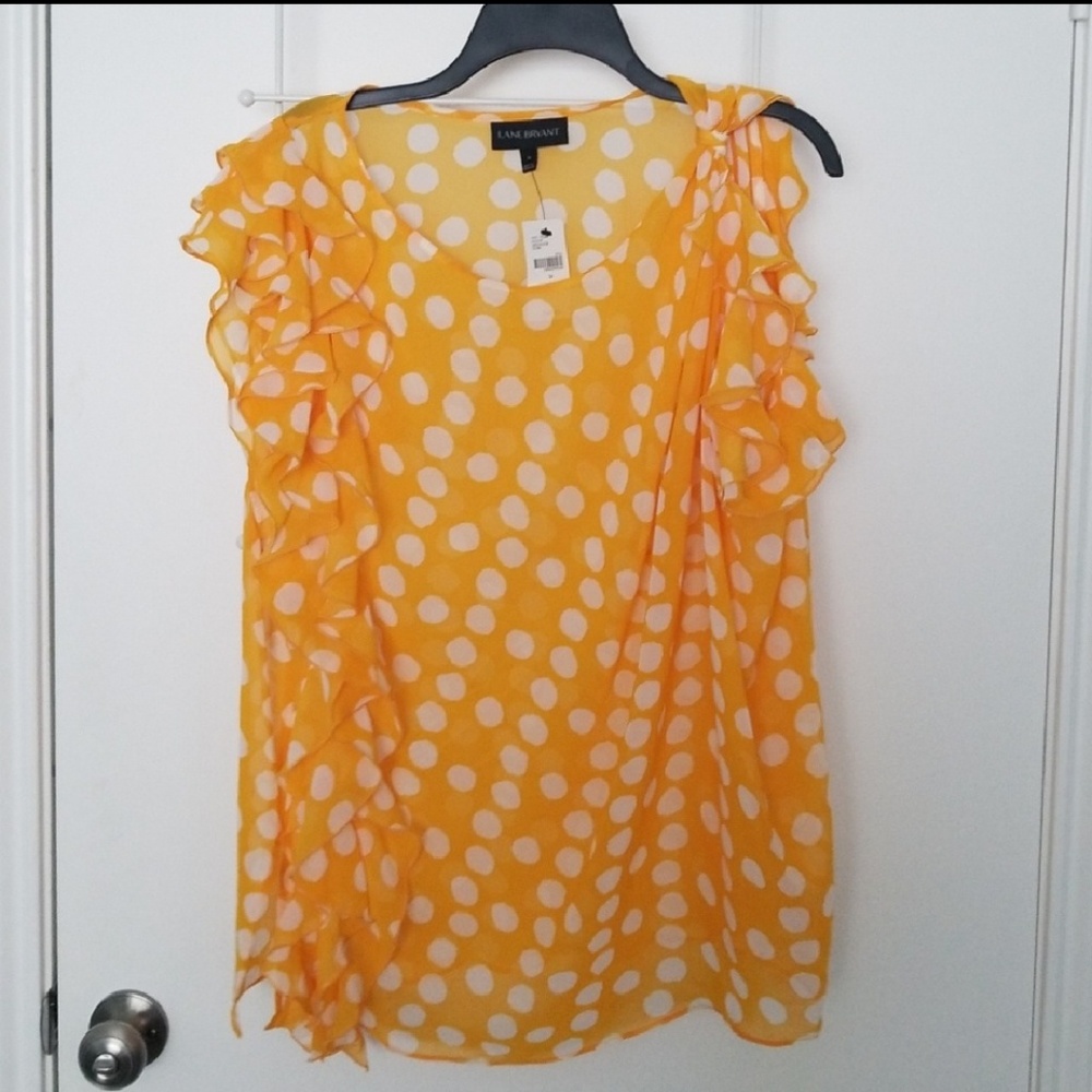 NWT Sheer Blouse
